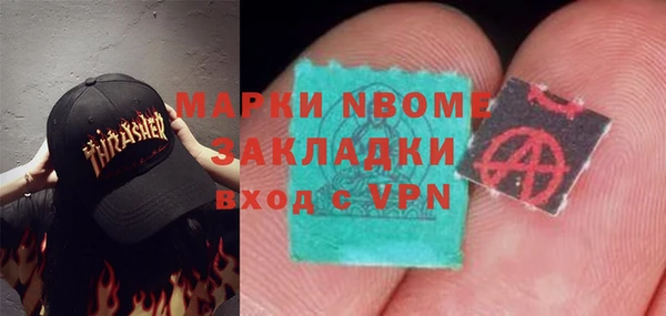 стаф Пересвет