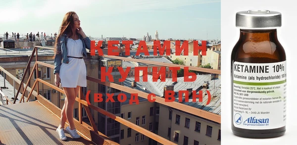 стаф Пересвет