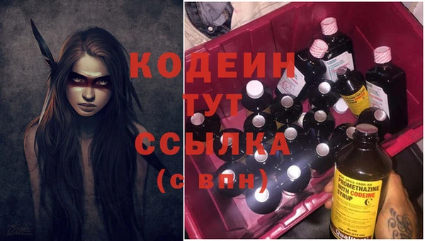 стаф Пересвет