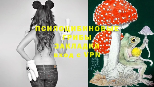 первитин Балахна
